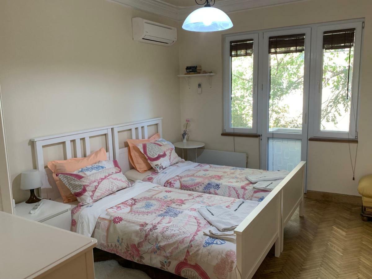 Viitoshka Apartment Sofia Extérieur photo